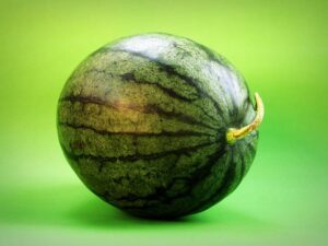 Dietní svačina na cesty: Jak zůstat ve formě i na cestách 9 Dietní svačina na cesty: Jak zůstat ve formě i na cestách