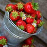 Jahody svačina fitness: Osvěžující a plné vitamínů 16 Jahody svačina fitness: Osvěžující a plné vitamínů