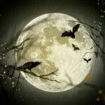 Zdravé mlsání: Tajemství chutných a zdravých snacků