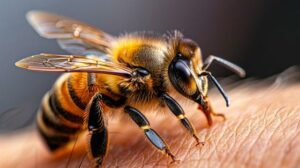 Jak vzniká alergie na lepek: Příčiny a prevence 5 Jak vzniká alergie na lepek: Příčiny a prevence