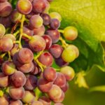 Zdravý štrúdl, který překvapí každého hosta!