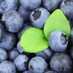 Zdravá borůvková zmrzlina: Ledové osvěžení plné antioxidantů